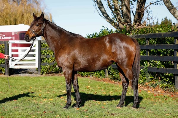 National Online Breeding Stock Sale