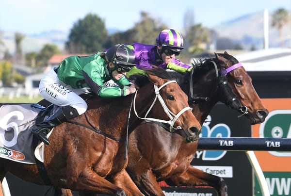 Tobias too tough in Poverty Bay Cup at Hastings