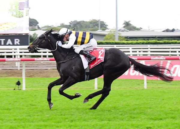 Warmonger assigned 53.5kgs for Cups