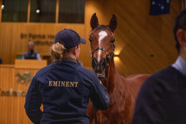 Quality Rewarded at 2024 Weanling Sale