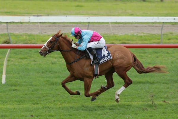 Whiskey ‘N Roses blooms with Ruakaka romp