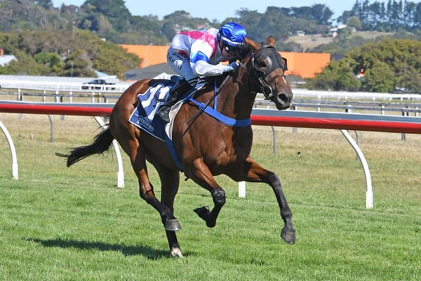 Group One performer a major drawcard in National Online Breeding Stock Sale