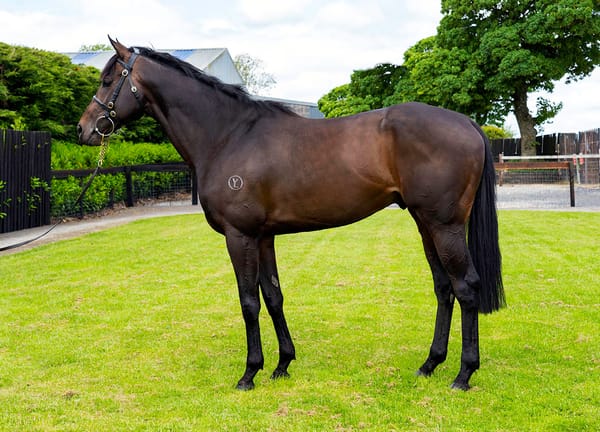 Ancient Spirit heads bright future at White Robe Lodge