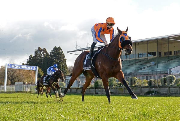 Baronet dominates at Tauranga