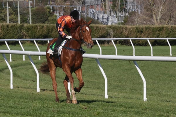 Collett two-year-old set for debut