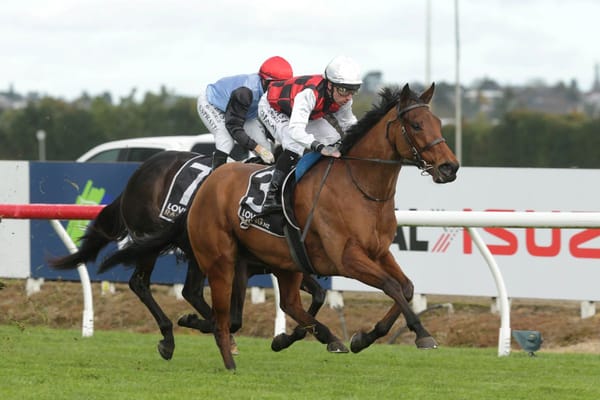 Cornelia all class at Te Rapa