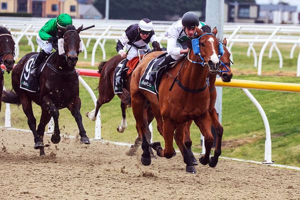 Doubtful Sound continues consistent form on synthetic tracks