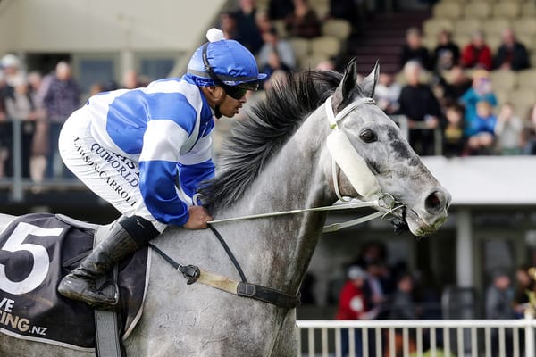 Marsh gest another 100-win season from Hula Beat