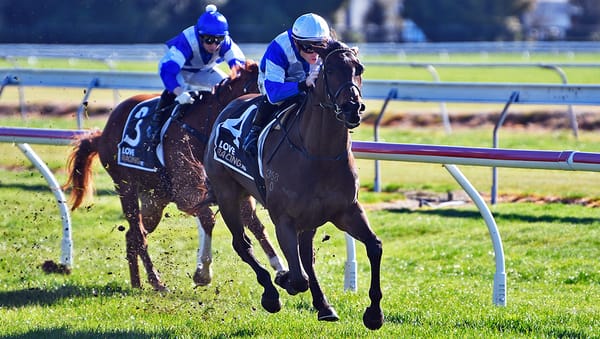 Willit wins at Rotorua