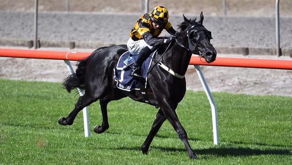 Forsman runners impress in trials