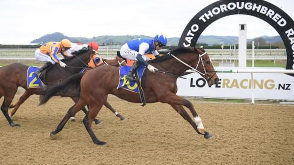 Lhasa aiming to continue unbeaten synthetic streak