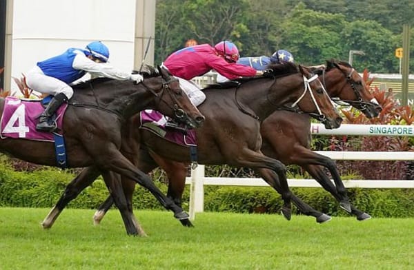 Lim's Saltoro wins Stewards Cup