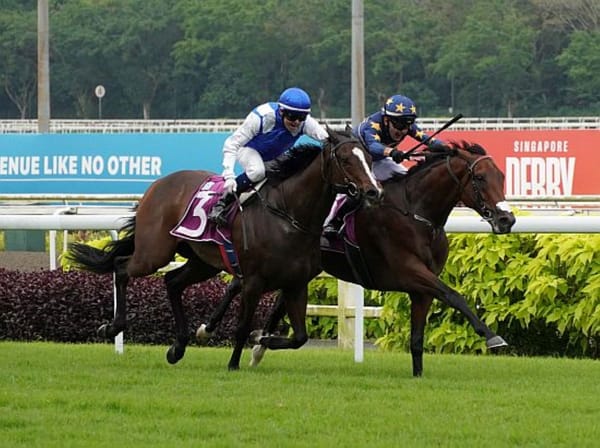 Lim's Saltoro wins tough Singapore Derby