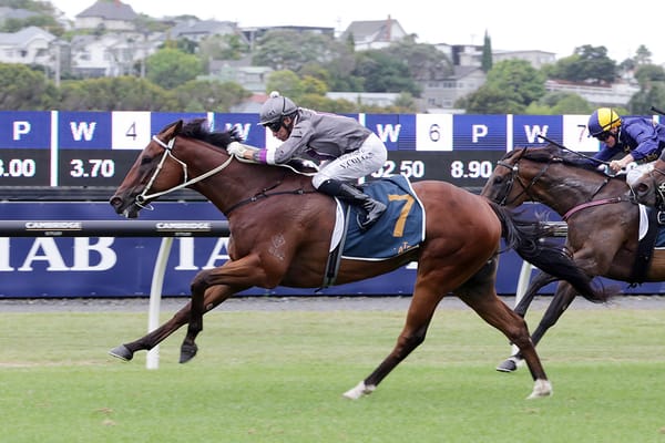 Master Fay ready for raceday return