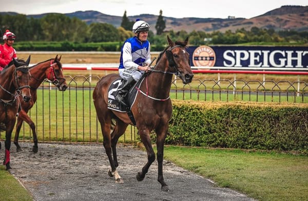 Stakes winner looking to collect Australian prizes