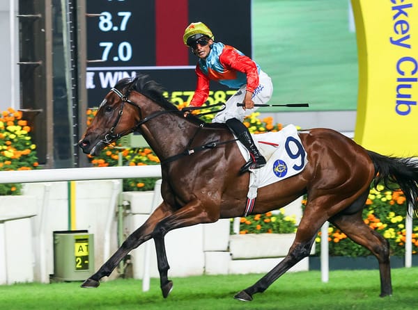 NZ-bred a rising star in Hong Kong