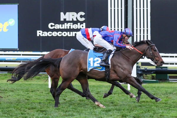 Four in a row for Rhapsody Chic