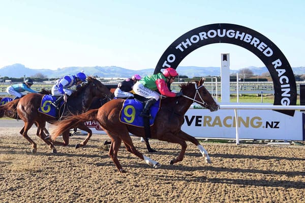 Sister Ping has spring targets