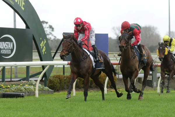Sulabella wins opener at Pukekohe