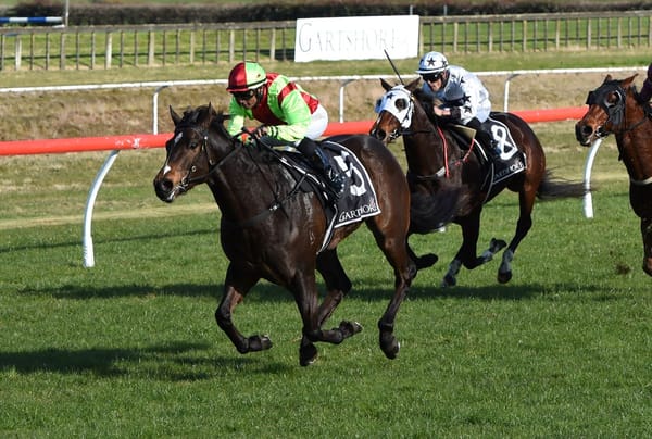 Twain impresses in winning debut at Tauranga