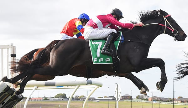 Affluential jumps to attention