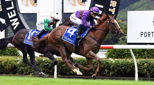 Belardo Boy ready to defend Winter Cup crown