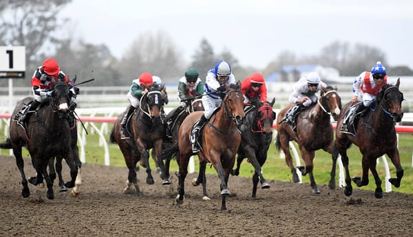 Huluava of a week for Pencarrow broodmare