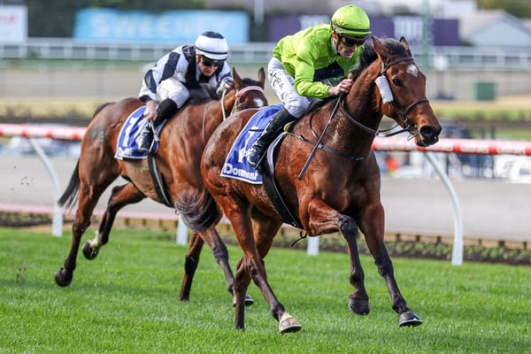 Dashing Duchess a Group mare in waiting