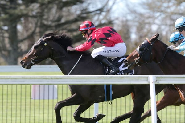 Wright aces season opener at Te Rapa