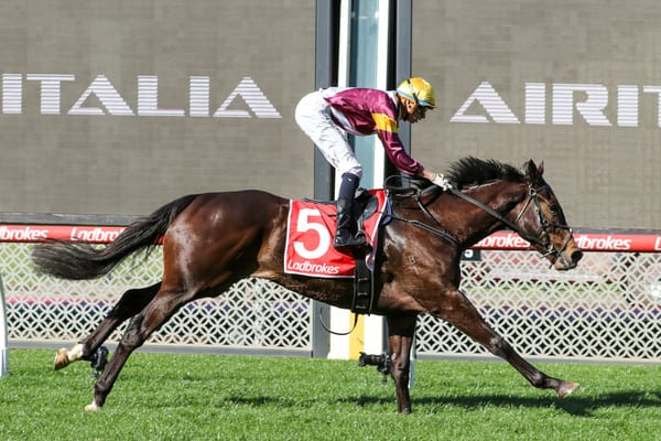 Improving Evaporate makes statement at The Valley