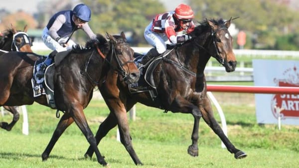 Gohugo to resume at Taupo
