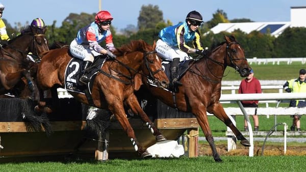 NZTR to Consult on Future of Jumps Racing