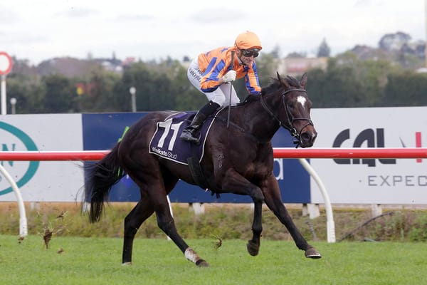 Imperatriz mating booked in