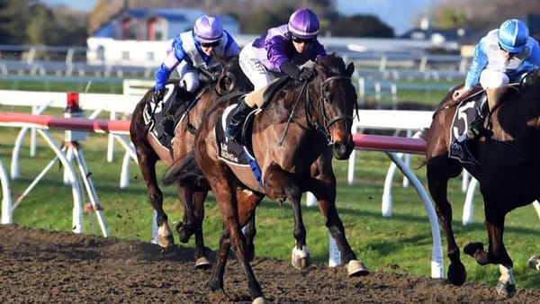 Jack Morrison is chasing four in a row on Awapuni Synthetic