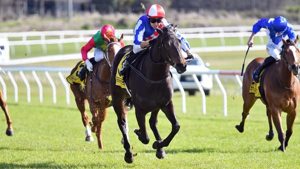 Alabama Lass was too strong at Taupo
