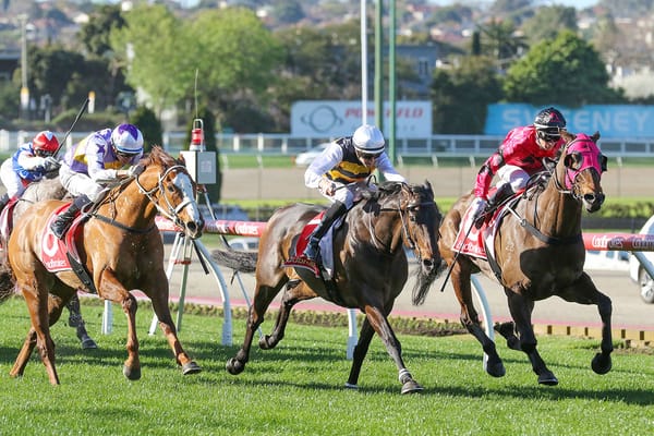 Lauding edges out Lincoln Rocks in all-Kiwi thriller
