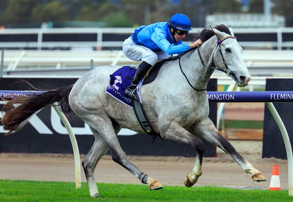 Browne hoping Zebra hasn’t changed stripes