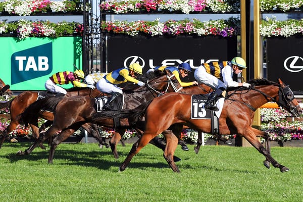 Mark Twain ruled out of Melbourne Cup