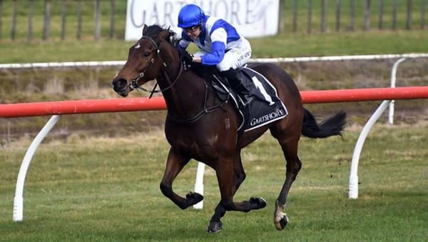 Martell out to continue his purple patch of form