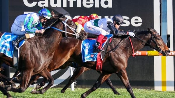 Williams looking on the Brightside for this spring