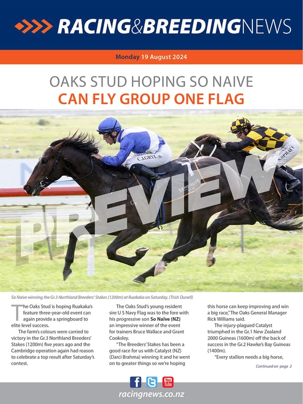 NZ Racing and Breeding News – 19 August 2024