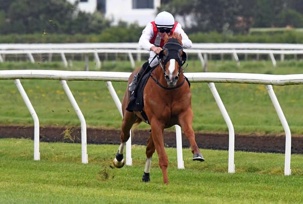 Poetic Champion set for three-year-old debut