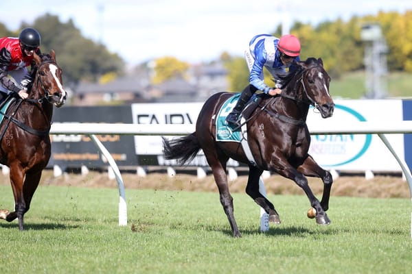 Plenty of smiles after Te Rapa trial