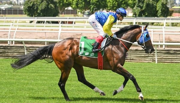 Heavenly start to campaign