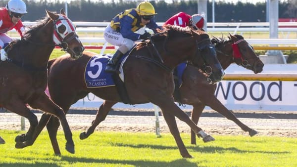 Street Fightin Man too tough at Riccarton