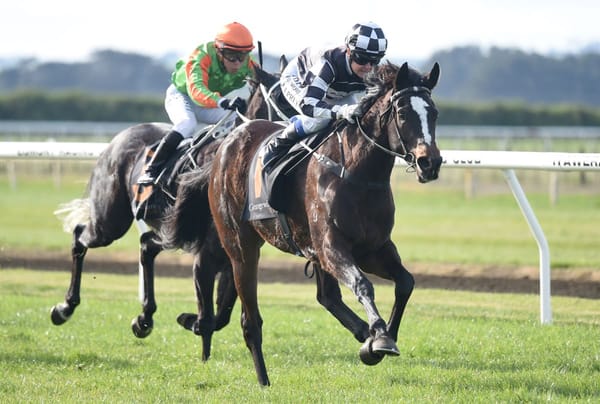 New additions for Sharrock shine at Hawera