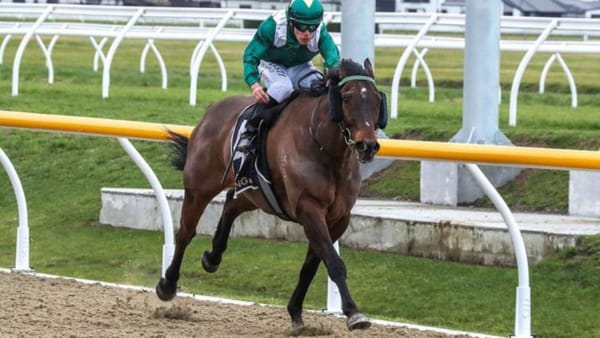 Strike Force set for local synthetic feature