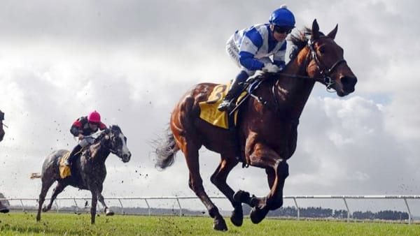 Tanner prepared to cash in again at New Plymouth