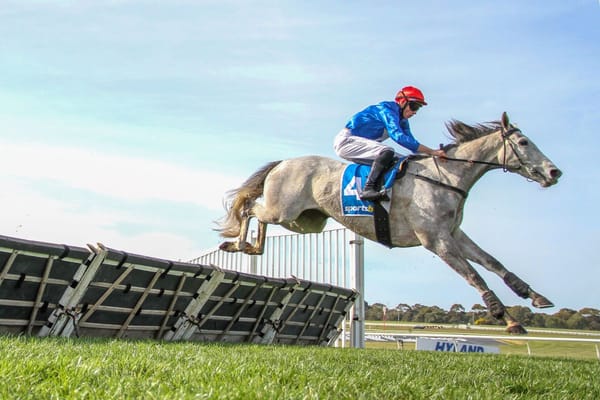 Cunning jumper shines