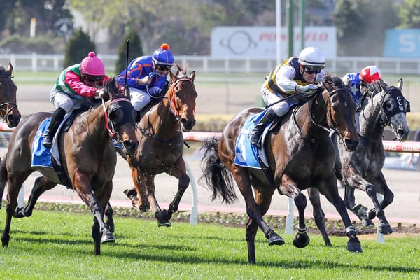 Lincoln Rocks provides partnership first metro triumph 